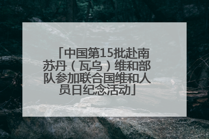 中国第15批赴南苏丹（瓦乌）维和部队参加联合国维和人员日纪念活动
